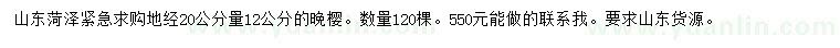 求購20量12公分晚櫻