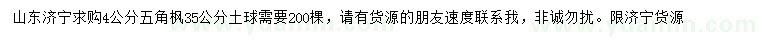 求購4公分五角楓