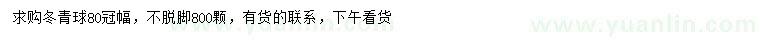 求購冠幅80公分冬青球