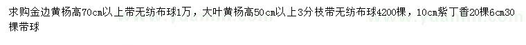 求購金邊黃楊、大葉黃楊、紫丁香