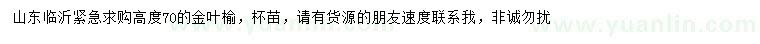 求購高70公分金葉榆
