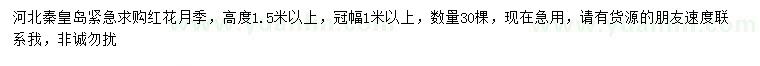 求購(gòu)高1.5米以上紅花月季