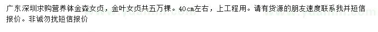 求購(gòu)40公分金森女貞、金葉女貞