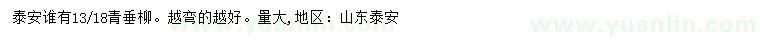 求購13、18公分青垂柳