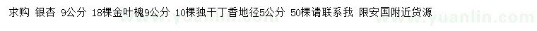 求購銀杏、金葉槐、丁香