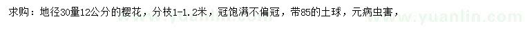 求購30量12公分紫薇