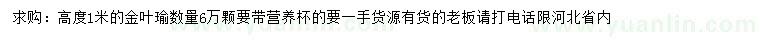 求購高1米金葉榆