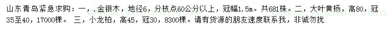 求購金銀木、大葉黃楊、小龍柏