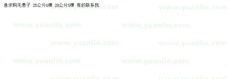 求購(gòu)25、28公分無(wú)患子