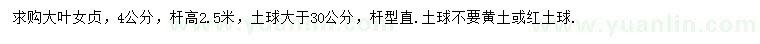 求購4公分大葉女貞