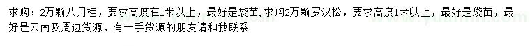 求購(gòu)高1米以上八月桂、羅漢松