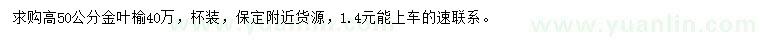 求購(gòu)高50公分金葉榆