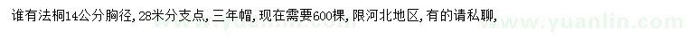 求購胸徑14公分法桐