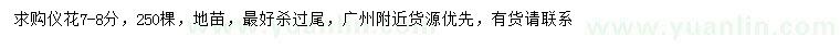 求購7-8公分儀花