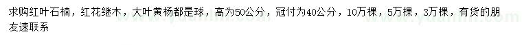 求購(gòu)紅葉石楠、紅花繼木、大葉黃楊