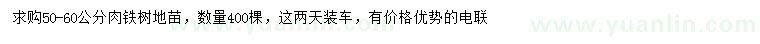 求購50-60公分鐵樹