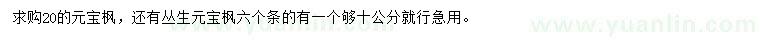 求購20公分元寶楓
