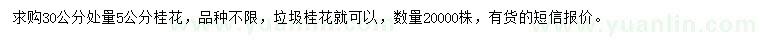 求購30量5公分桂花