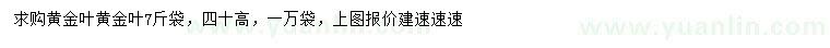 求購高40公分黃金葉