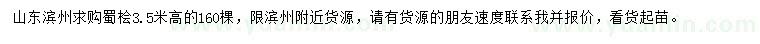 求購高3.5米蜀檜