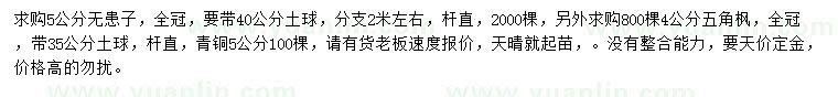 求購無患子、五角楓、青桐