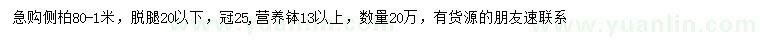 求購80-100公分側(cè)柏