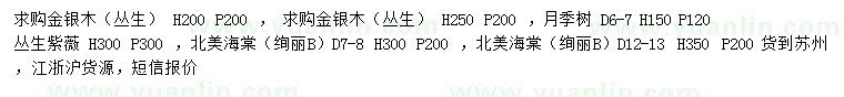 求購(gòu)叢生金銀木、月季樹、叢生紫薇等