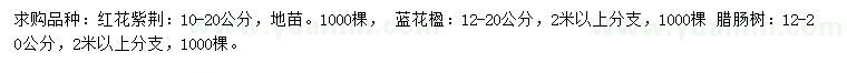 求購紅花紫荊、藍(lán)花楹、臘腸樹