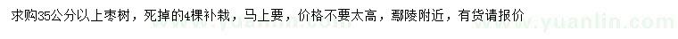 求購35公分以上棗樹