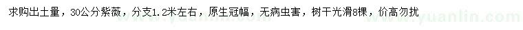 求購30公分紫薇