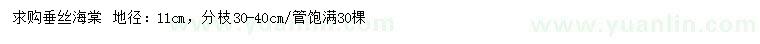 求購地徑11公分垂絲海棠
