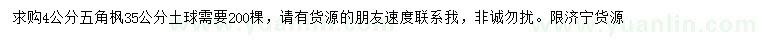 求購(gòu)4公分五角楓