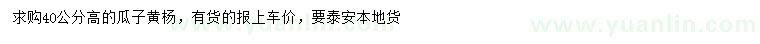 求購(gòu)高40公分瓜子黃楊