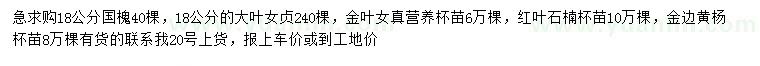 求購國槐、大葉女貞、金葉女貞等