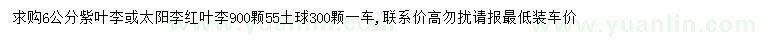求購紫葉李、太陽李、紅葉李