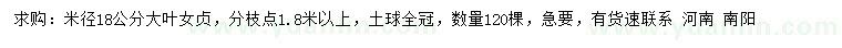 求購米徑18公分大葉女貞