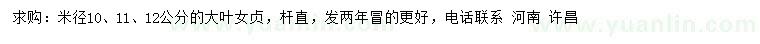 求購米徑10、11、12公分大葉女貞