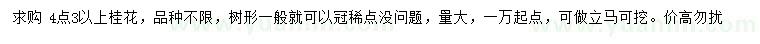 求購(gòu)4.3公分以上桂花