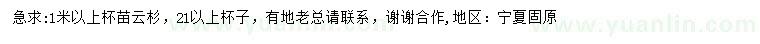 求購1米以上云杉