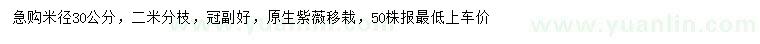 求購米徑30公分原生紫薇