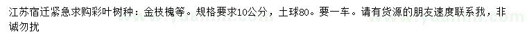 求購10公分金枝槐