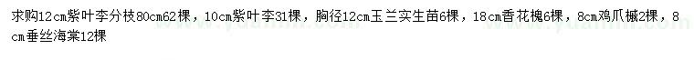 求購(gòu)紫葉李、玉蘭、香花槐等