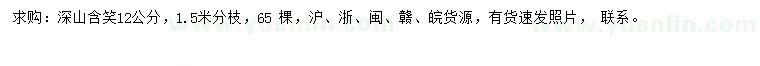 求購12公分深山含笑
