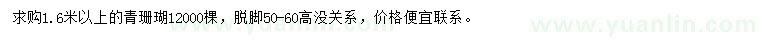 求購1.6米以上青珊瑚