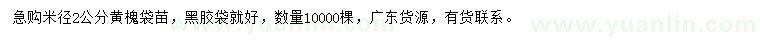 求購米徑2公分黃槐