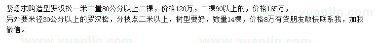 求購(gòu)1.2米量80、90公分以上造型羅漢松、米徑30公分以上羅漢松