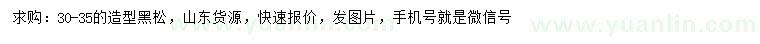 求購30-35公分造型黑松