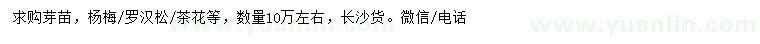 求購楊梅樹、羅漢松、茶花