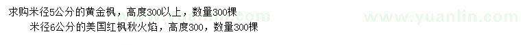 求購米徑5公分黃金楓、6公分美國紅楓