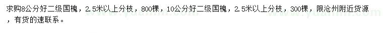 求購8、10公分國槐